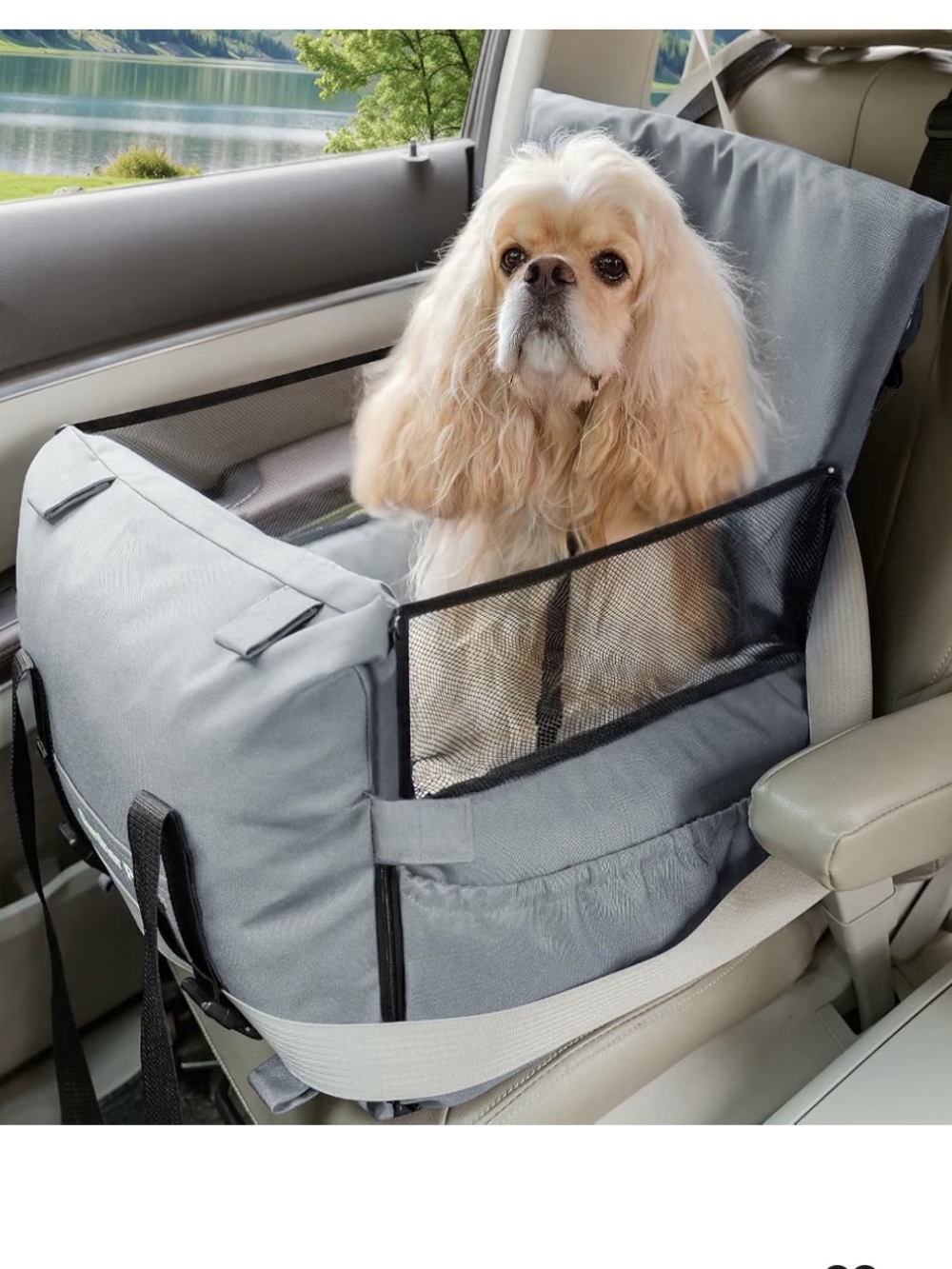 Gray Dog Booster Car Seat with Mesh Sides